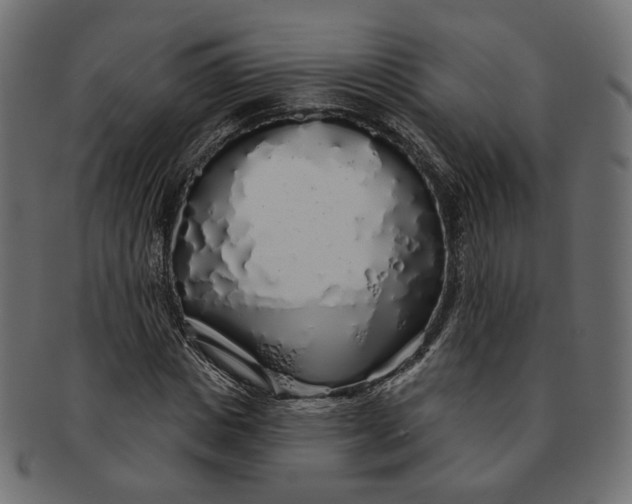 X0000091530825200709071038