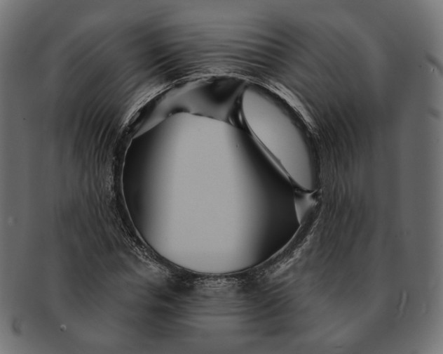X0000091530826200709071038