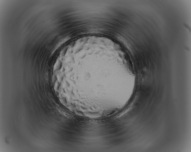 X0000091530827200709071038