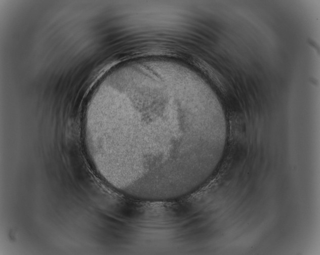 X0000091530828200709071038