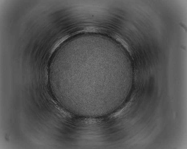 X0000091530829200709071038