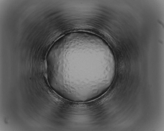 X0000091530833200709071038