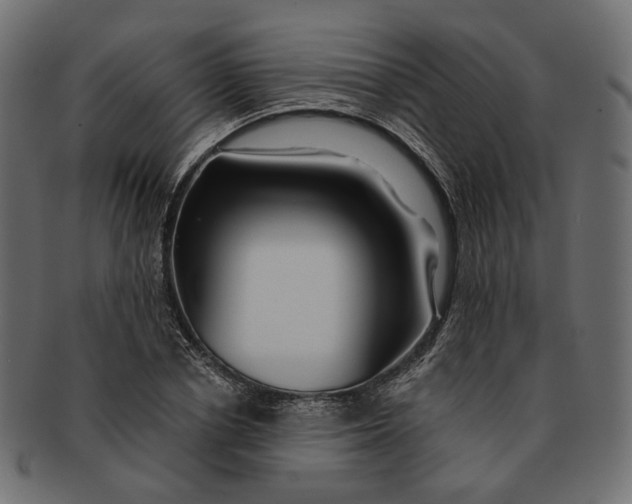 X0000091530834200709071038