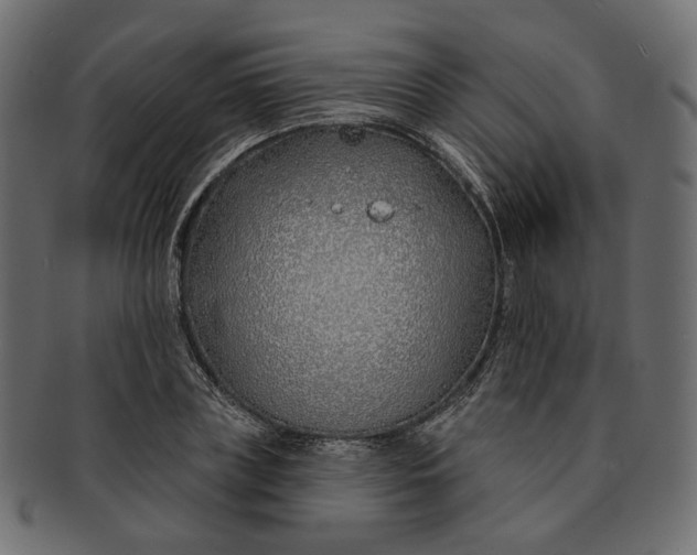 X0000091530835200709071038