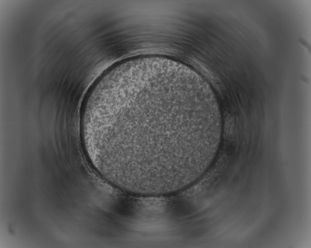 X0000091530836200709071038