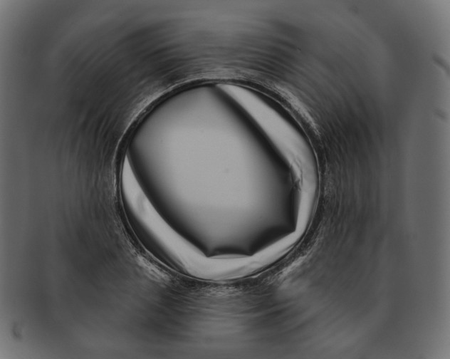 X0000091530837200709071038