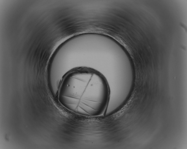 X0000091530838200709071038
