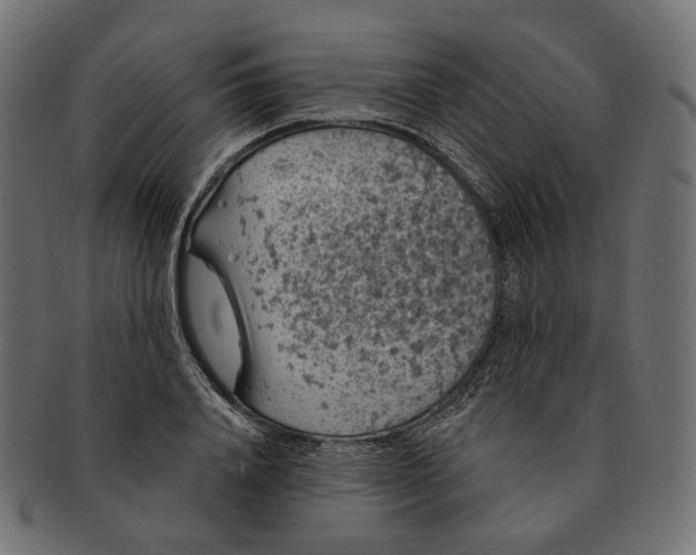 X0000091530840200709071038