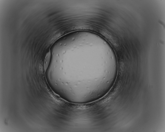 X0000091530841200709071038