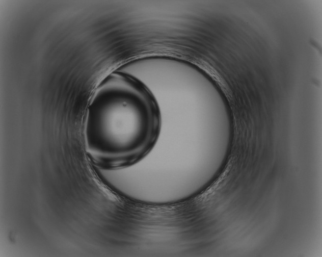 X0000091530842200709071038