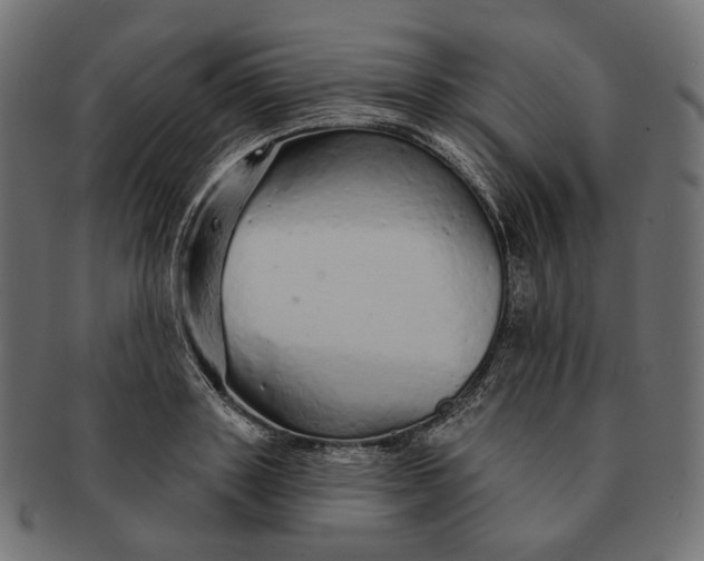 X0000091530843200709071038