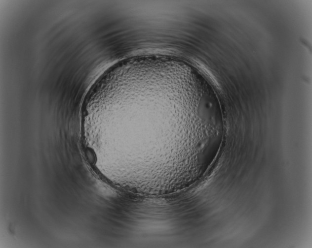 X0000091530844200709071038
