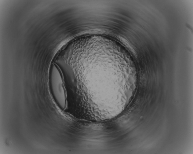 X0000091530845200709071038