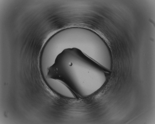 X0000091530846200709071038