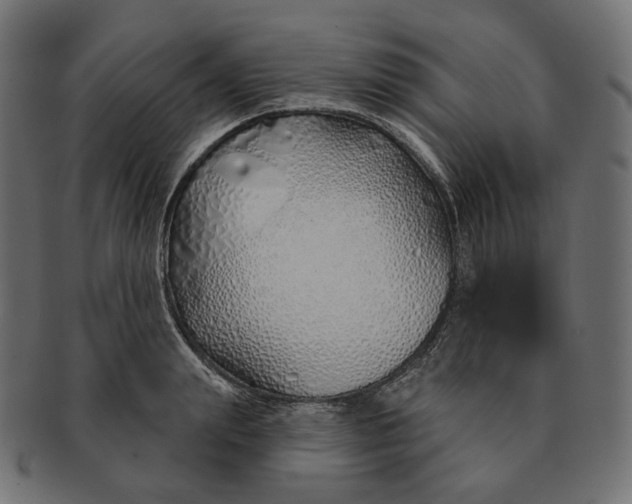 X0000091530847200709071038