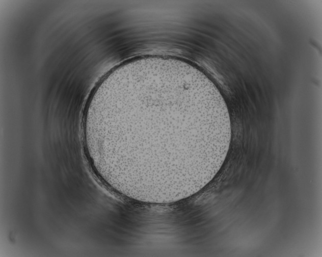 X0000091530848200709071038