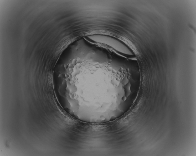 X0000091530849200709071039