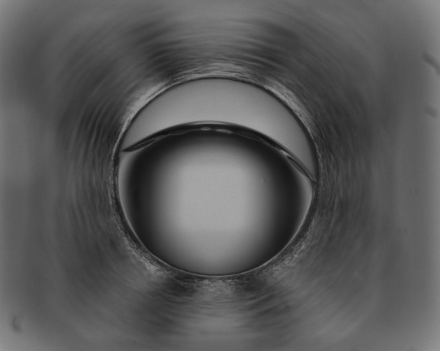 X0000091530850200709071039