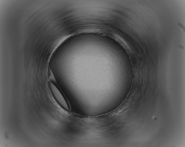 X0000091530852200709071039