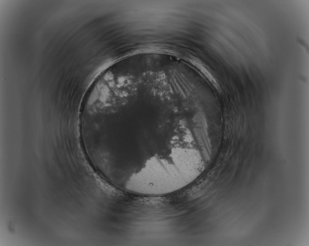 X0000091530853200709071039