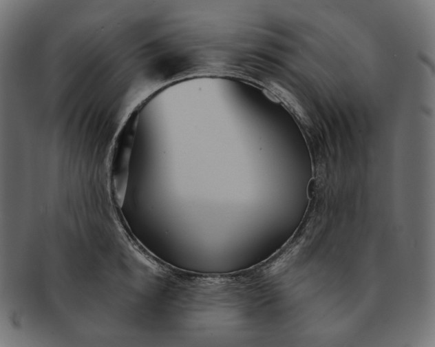 X0000091530854200709071039