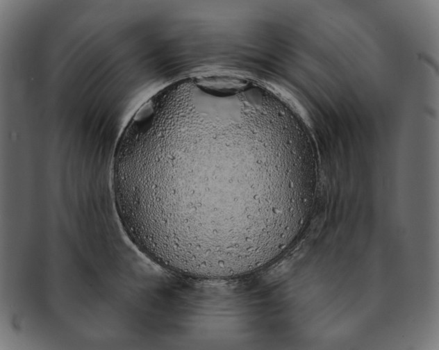 X0000091530855200709071039