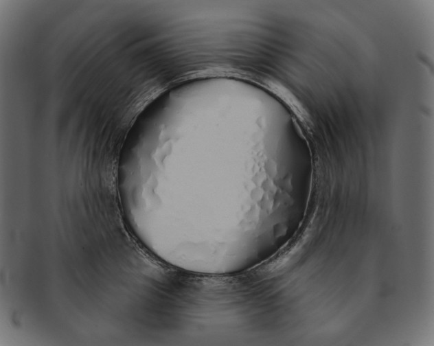 X0000091530857200709071039