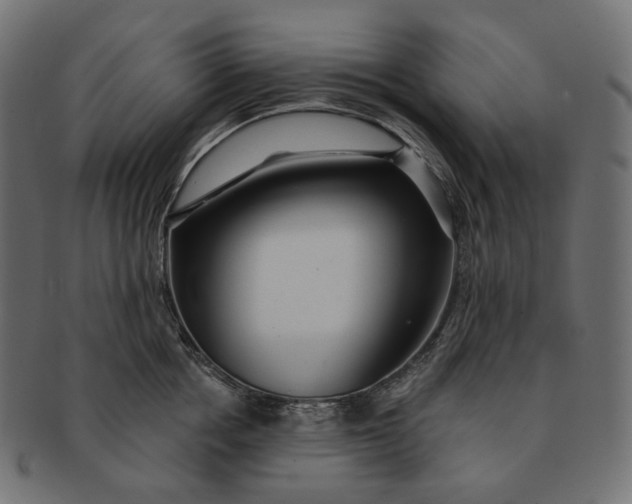 X0000091530858200709071039