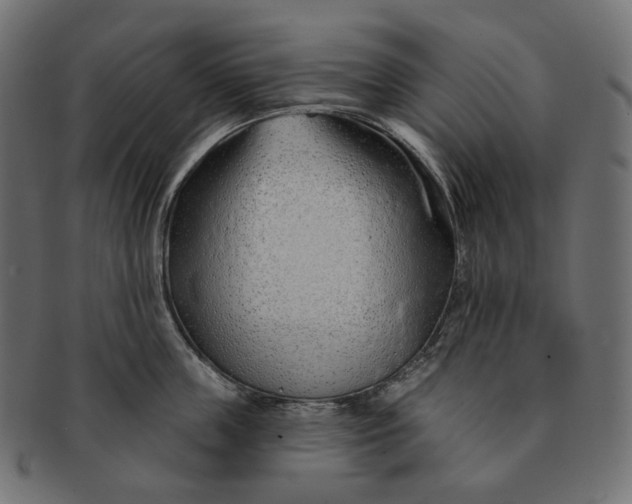 X0000091530859200709071039