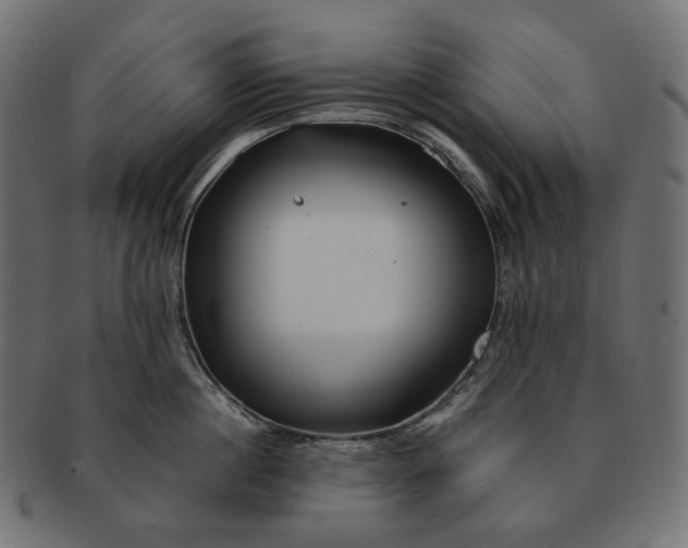 X0000091530860200709071039