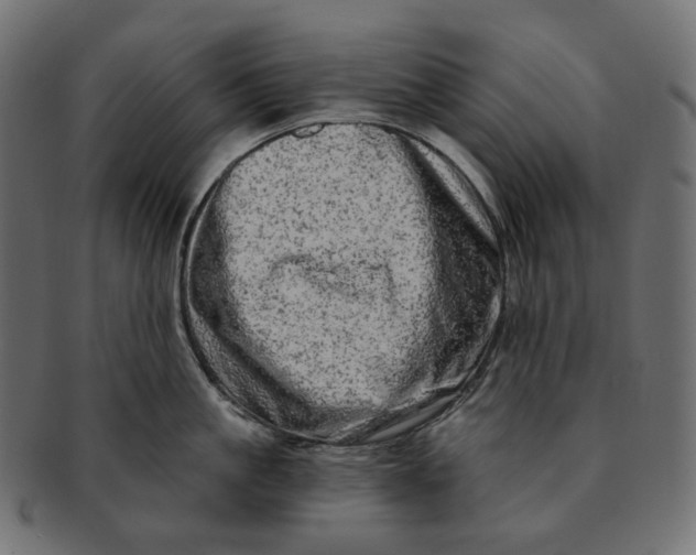 X0000091530861200709071039