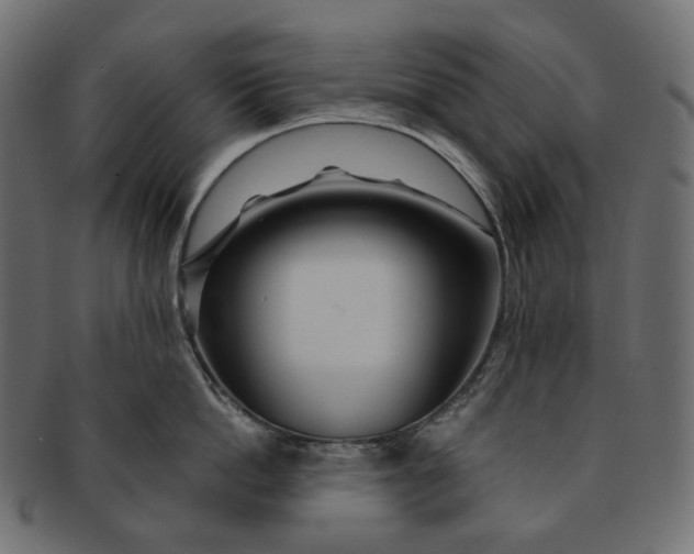 X0000091530862200709071039