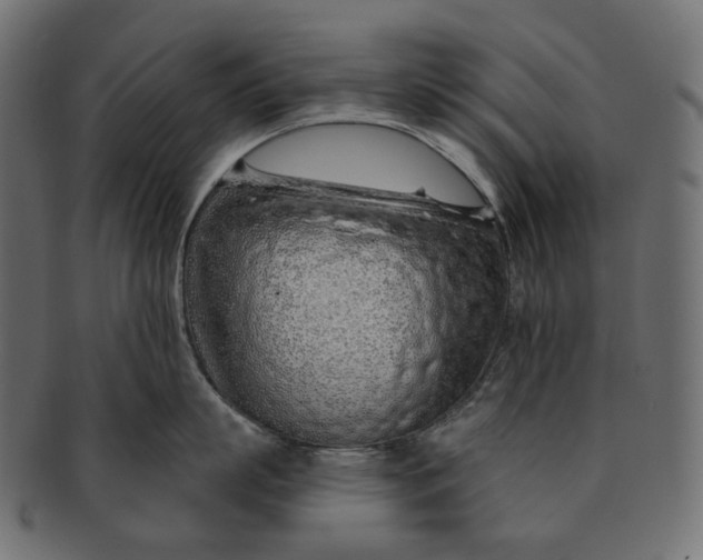 X0000091530863200709071039