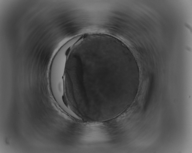 X0000091530864200709071039