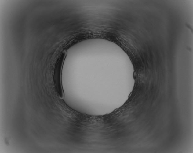 X0000091530865200709071038