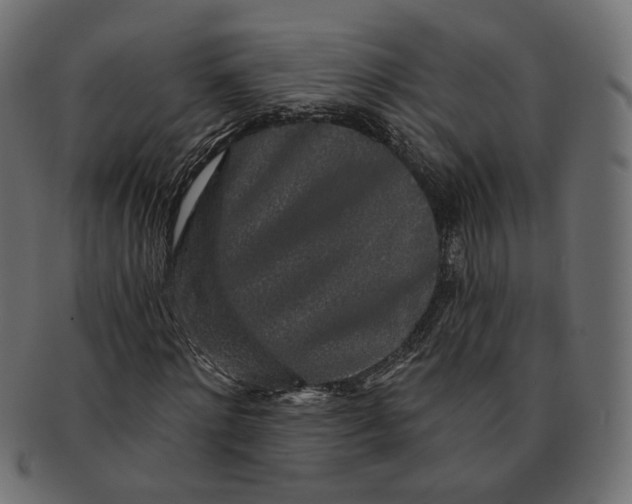 X0000091530868200709071038