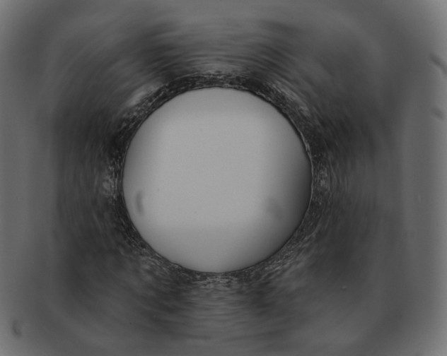 X0000091530869200709071038