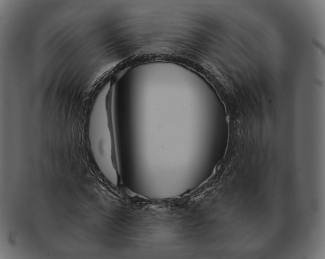 X0000091530872200709071038