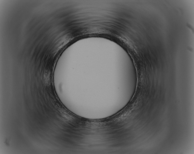 X0000091530873200709071038
