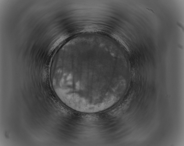 X0000091530874200709071038