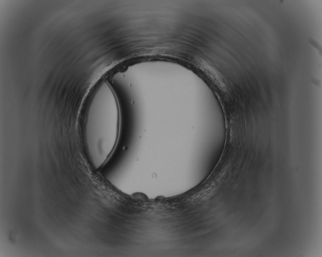 X0000091530876200709071038