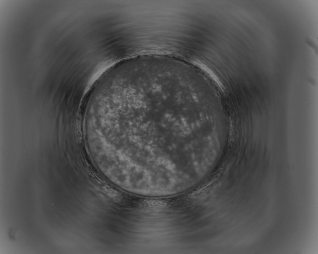 X0000091530878200709071038