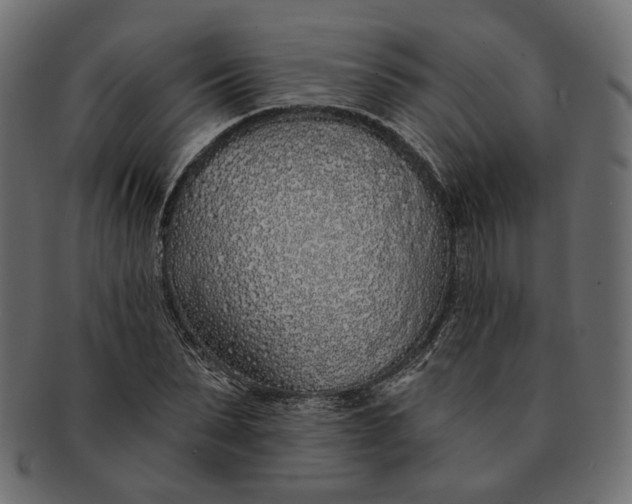 X0000091530879200709071038