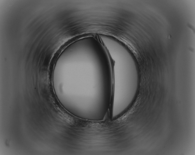 X0000091530880200709071038