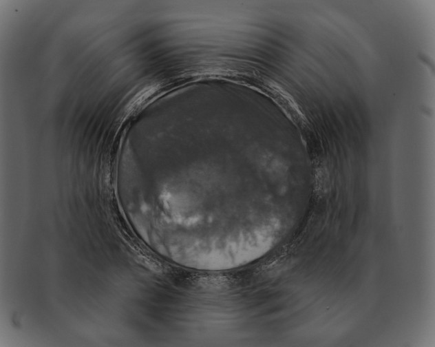 X0000091530882200709071038