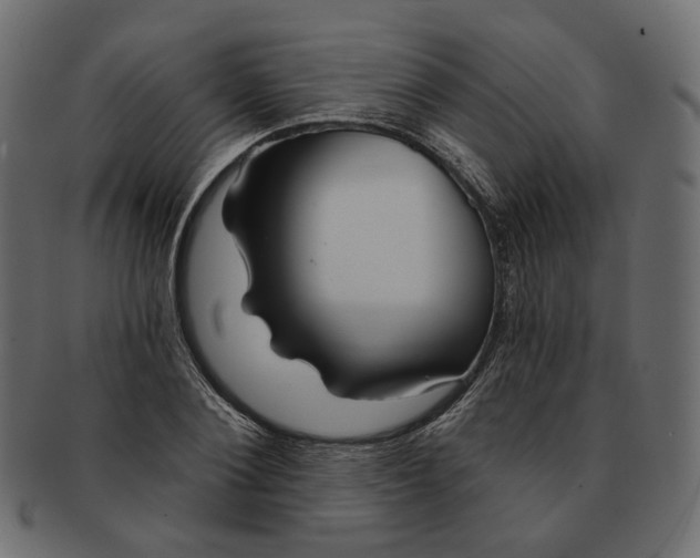 X0000091530884200709071038