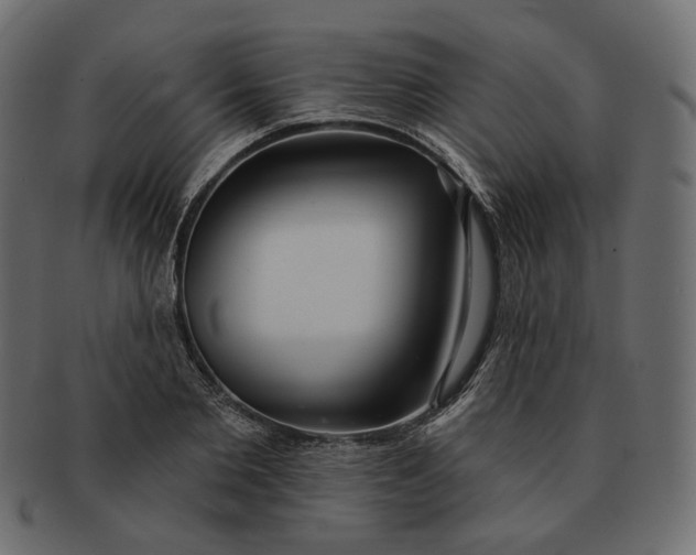 X0000091530885200709071038