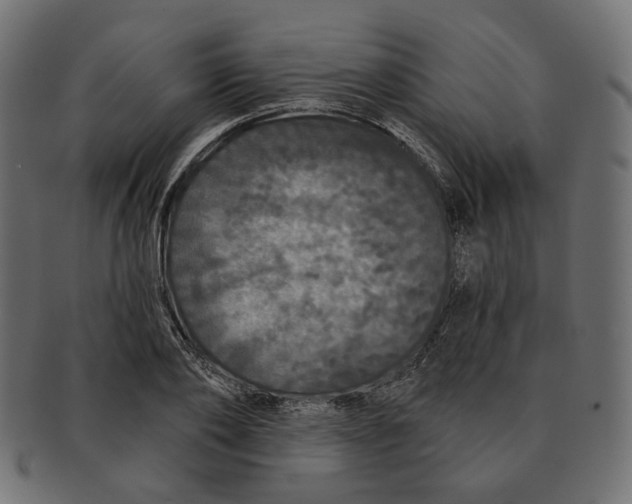 X0000091530886200709071038