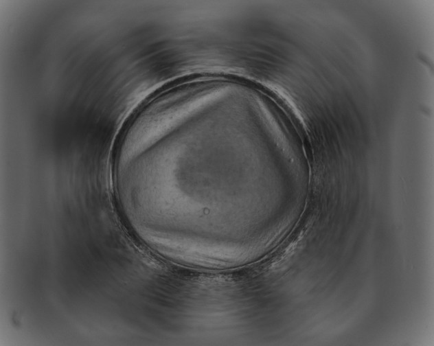 X0000091530887200709071038