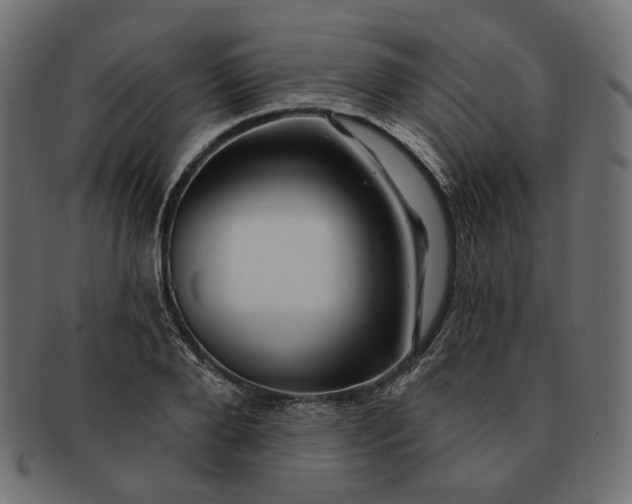 X0000091530888200709071038